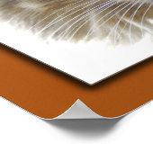 Poster Le film de Zak (Coin)