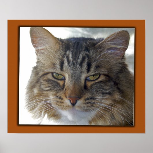 Poster Le film de Zak (Devant)