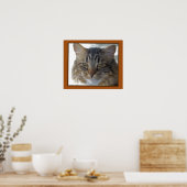 Poster Le film de Zak (Cuisine)