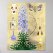 Poster Le fléau de Wolf (Devant)