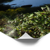 Poster Le fleuve Tioga (Coin)