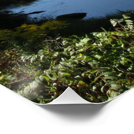 Poster Le fleuve Tioga (Coin)