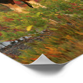 Poster Le Foal De Chincoteague En Fleurs Rouges (Coin)