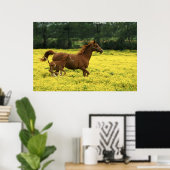 Poster Le foin et la jument d'Arabie traversent (Bureau à domicile)