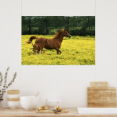 Poster Le foin et la jument d'Arabie traversent (Cuisine)