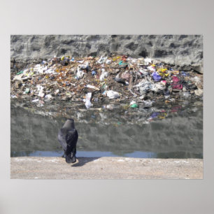 Poster Le foyer du jabot sur l'affiche de déchets