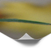 Poster Le froid hivernal (Coin)