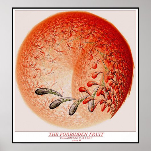 POSTER LE FRUIT INTERDIT (Devant)