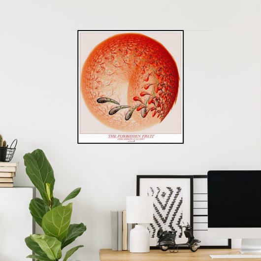 POSTER LE FRUIT INTERDIT (Bureau à domicile)