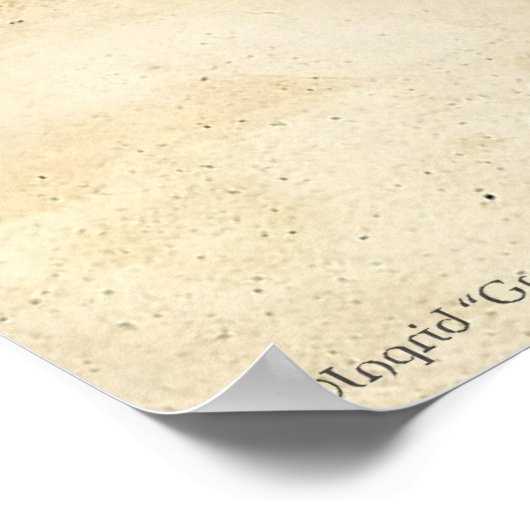 Poster Le furet celtique (Coin)