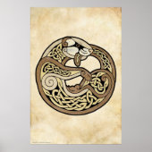 Poster Le furet celtique (Devant)