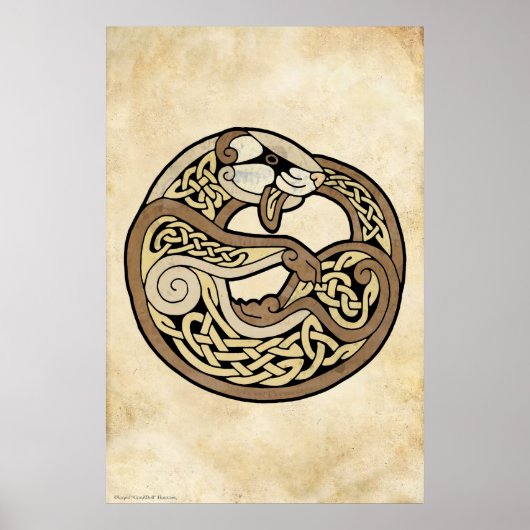 Poster Le furet celtique (Devant)