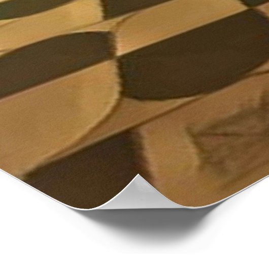 Poster Le Gambit des reines (Coin)