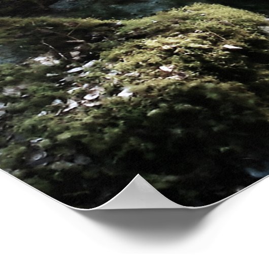 Poster Le Gardien (Coin)