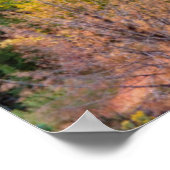 Poster Le gardien de l'automne (Coin)