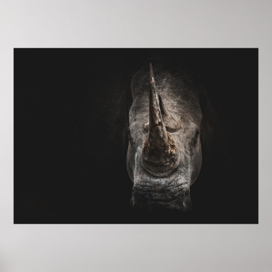 POSTER LE GÉANT EN DANGER (Devant)