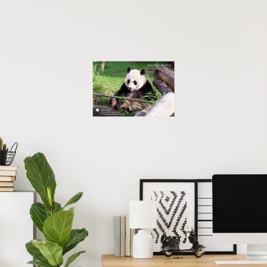 Poster Le géant Panda Mei Xiang (Bureau à domicile)