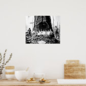 Poster LE GÉANT REDWOOD le DIMANCHE c. 1890 (Cuisine)