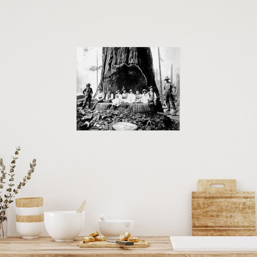 Poster LE GÉANT REDWOOD le DIMANCHE c. 1890 (Cuisine)