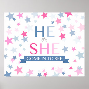 Poster Le genre révèle le signe de la fête, il ou elle vi