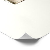 Poster Le Giroflier Red Clove Amerique Botanique (Coin)