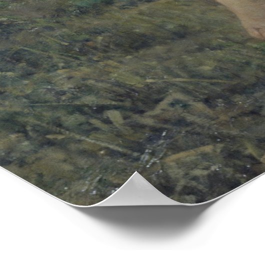 Poster Le Gleaner, 1877 (Coin)