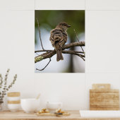 Poster Le Gobe-Mouche (Cuisine)