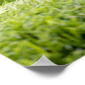 Poster Le golf est sur l'arrière - plan d'herbe verte (Coin)