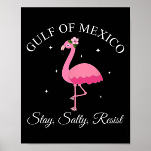 Poster Le Golfe Du Mexique Reste Sally Résister