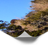 Poster Le Grand Bouddha : Kamakura, Japon (Coin)