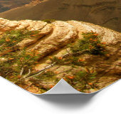 Poster Le Grand Canyon (Coin)