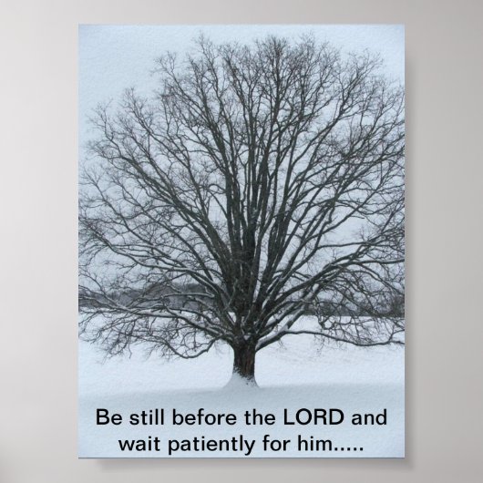 Poster Le grand chêne (Devant)