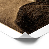 Poster Le Grand Émancipateur - Abe Lincoln (1865) (Coin)