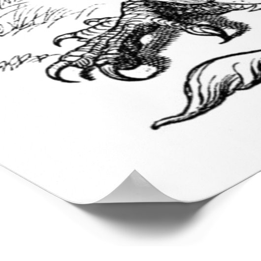 Poster Le Griffin qui dort (Coin)