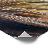 Poster Le gros tigre (Coin)