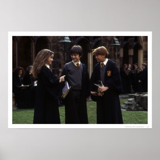 Poster Le groupe en dehors de Hogwarts (Devant)