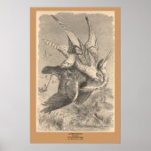 Poster Le Gyrfalcon (Devant)