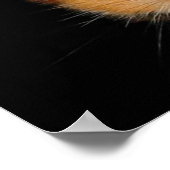Poster Le Hamster (Coin)