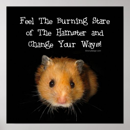 Poster Le Hamster (Devant)