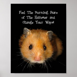 Poster Le Hamster
