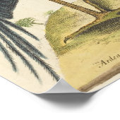 Poster Le Héron Bleu Imprimer par Mark Catesby (Coin)