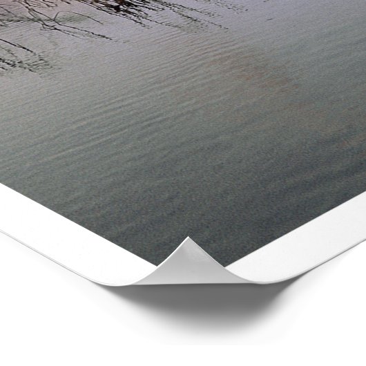 Poster Le héron prend l'avion, Père Noël Rosa Island (Coin)