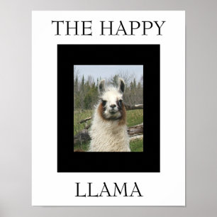 POSTER LE HEUREUX LAMA