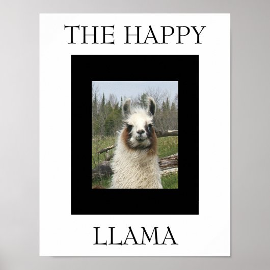 POSTER LE HEUREUX LAMA (Devant)