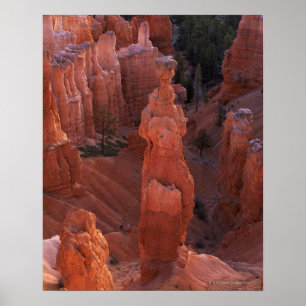 Poster Le hoodoo Thor's Hammer sur Navajo Trail
