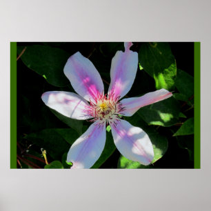 Poster Le jardin aux fleurs de maman
