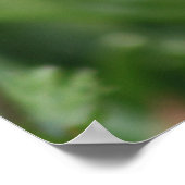 Poster Le jardin de Dieu (Coin)