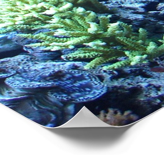 Poster Le jardin de Poseidon (Coin)