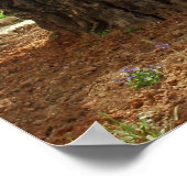 Poster Le jardin du Getsêmani à Jérusalem, la Ville Saint (Coin)