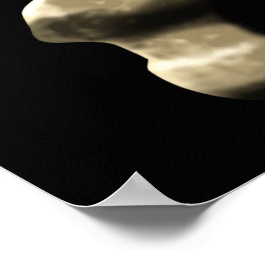 Poster Le Jolly roger (Coin)